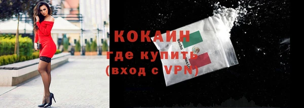 дурь Горняк