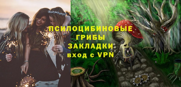 гашик Гусев
