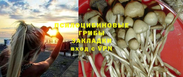 хмурый Горно-Алтайск