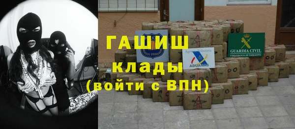 гашик Гусев
