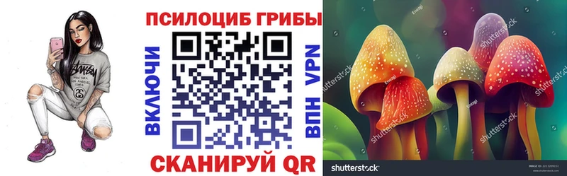 Галлюциногенные грибы Psilocybe  Купить где  Звенигород 